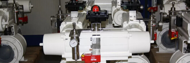 為什么OMAL這么受市場(chǎng)歡迎，熱銷(xiāo)背后的“密碼”破解！