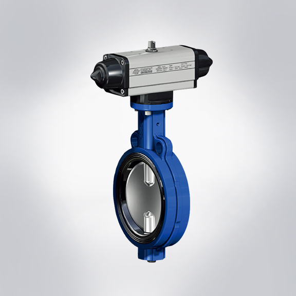 進(jìn)口蝶閥 進(jìn)口蝶閥